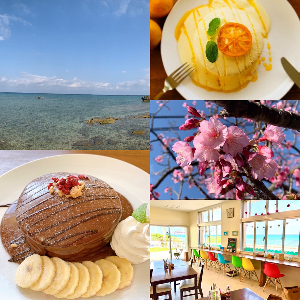 おはようございます 本日朝からクジラが店から見えてますよ この時期ならではのクジラ 桜 季節限定パンケーキ合わせていかがですか 16時ラストオーダー までコロナ対策バッチリでお待ちしております