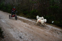 dsc7822_1_orig