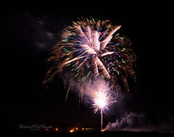_DSC1554