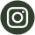 instagram (1).png