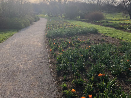 Stress and Stress Management