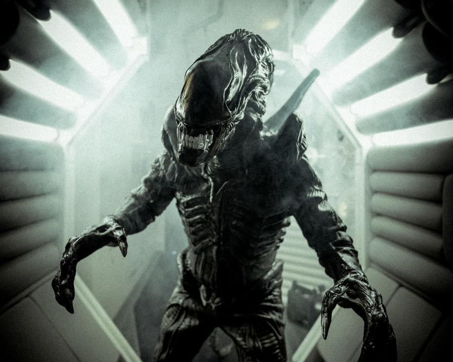 Hola Museu Alien, Barcelona
