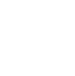 transperancy.png