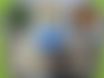 7월 2일 급식사진