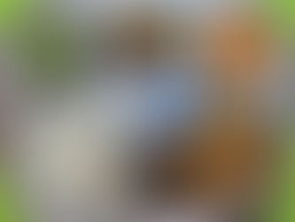 4월 16일 급식사진