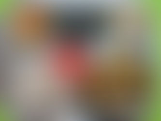 8월 28일 급식사진