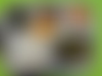 10월 31일 급식사진