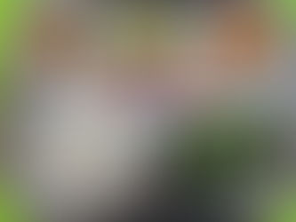 7월 1일 급식사진