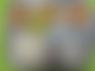 5월 15일 급식사진