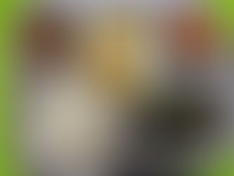 11월 1일 급식사진