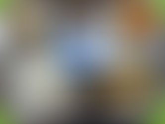 4월 6일 급식사진