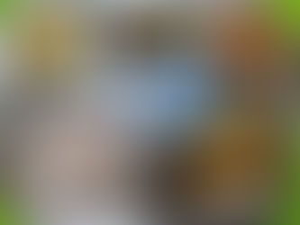 10월 28일 급식사진