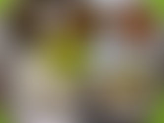 10월 11일 급식사진