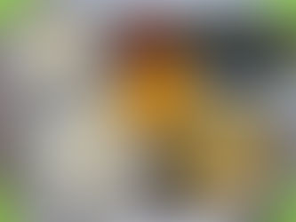 4월 17일 급식사진