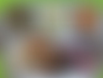 9월 2일 급식사진