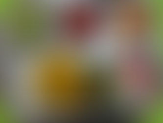 7월 8일 급식사진