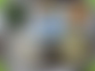 7월 16일 급식사진