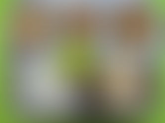 12월 5일 급식사진