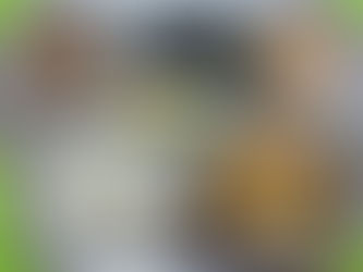 9월 1일 급식사진