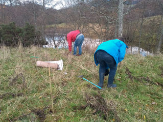 Success 105 Trees Planted