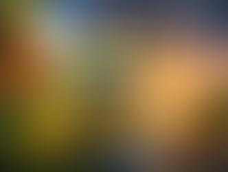 EL EFECTO MARIPOSA EXPLICADO CON CIENCIA REAL