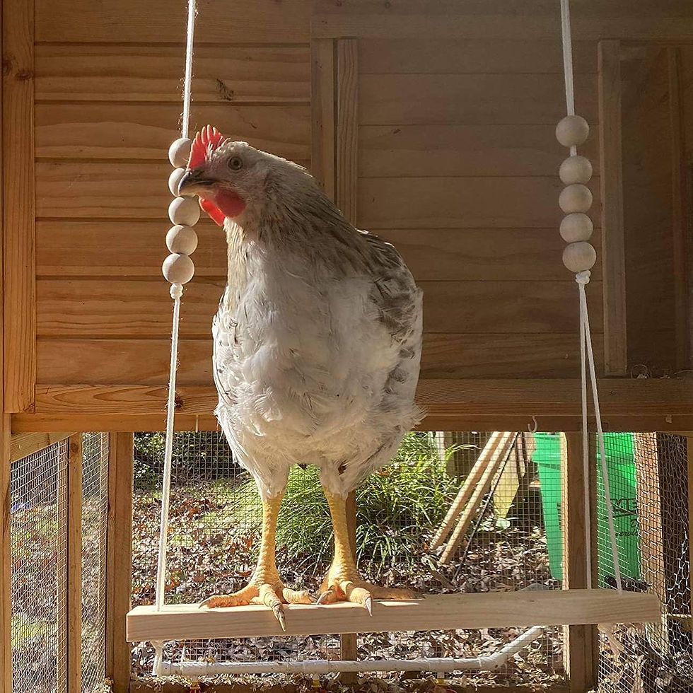 Miniature : Large Bird Swing