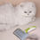 Miniature : Pet Grooming Brush
