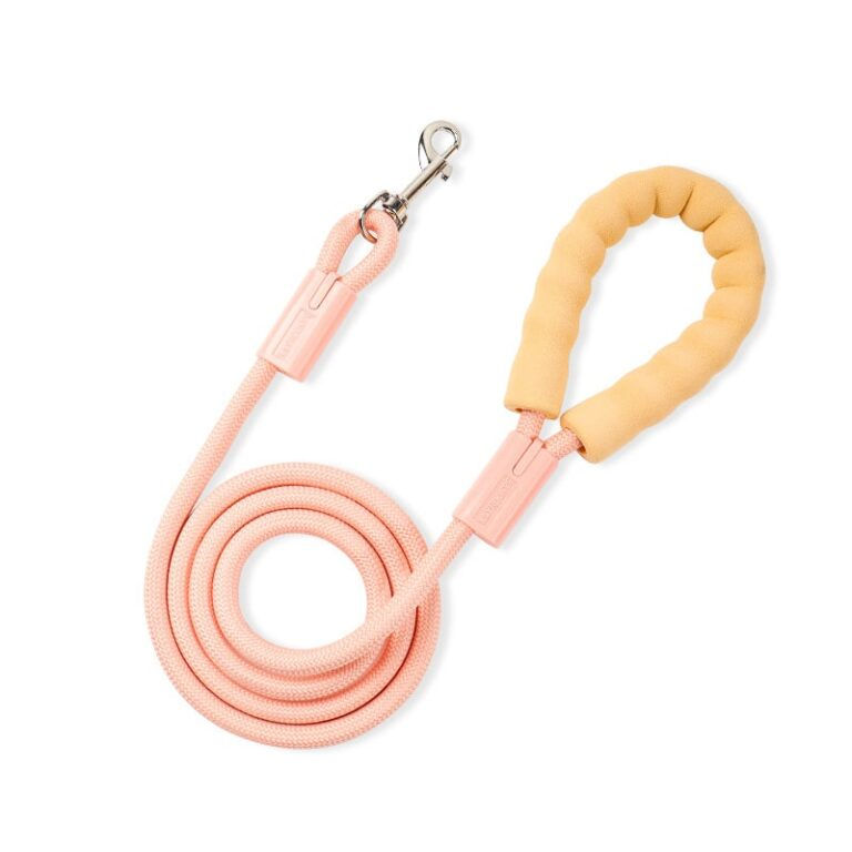 Thumbnail: Pastel Color Dog Leash 2M