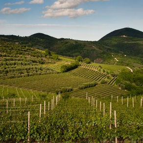 In Veneto le cose cambiano!