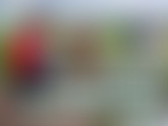 Have fun in Andover during February half term 