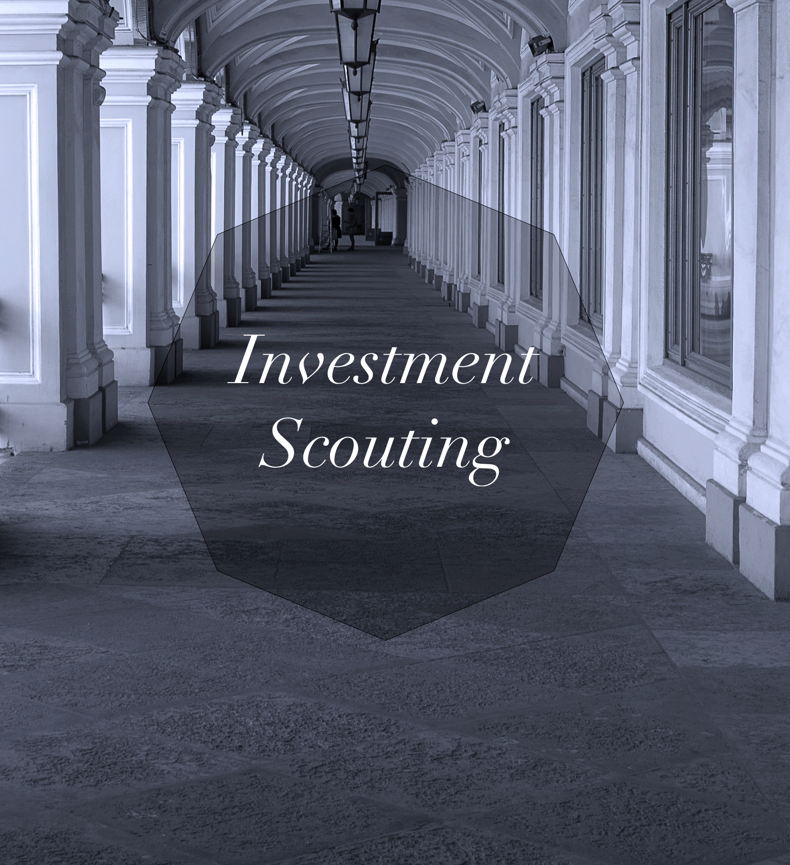 Investment Scouting
