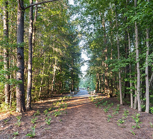 DSCF6096-1758x2048.jpg
