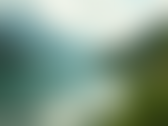 The Power of Mindfulness in Everyday Life