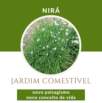 Jardim Comestível n  (3).png