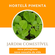 Jardim Comestível n (6).png