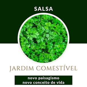Jardim Comestível n (7).png