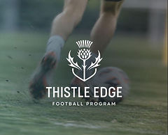 Thistle edge.JPG