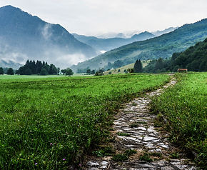 Mountain Walk_edited.jpg