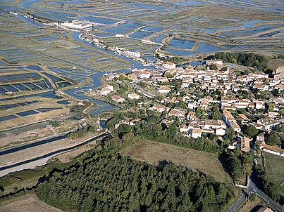 Mornac sur Seudre et ses marais