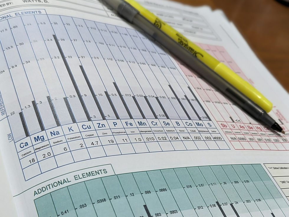 Sample HTMA mineral analysis report with a pen and highlighter, showing how mineral levels are measured.