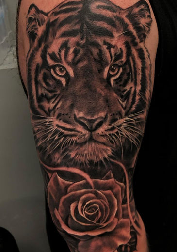 tiger