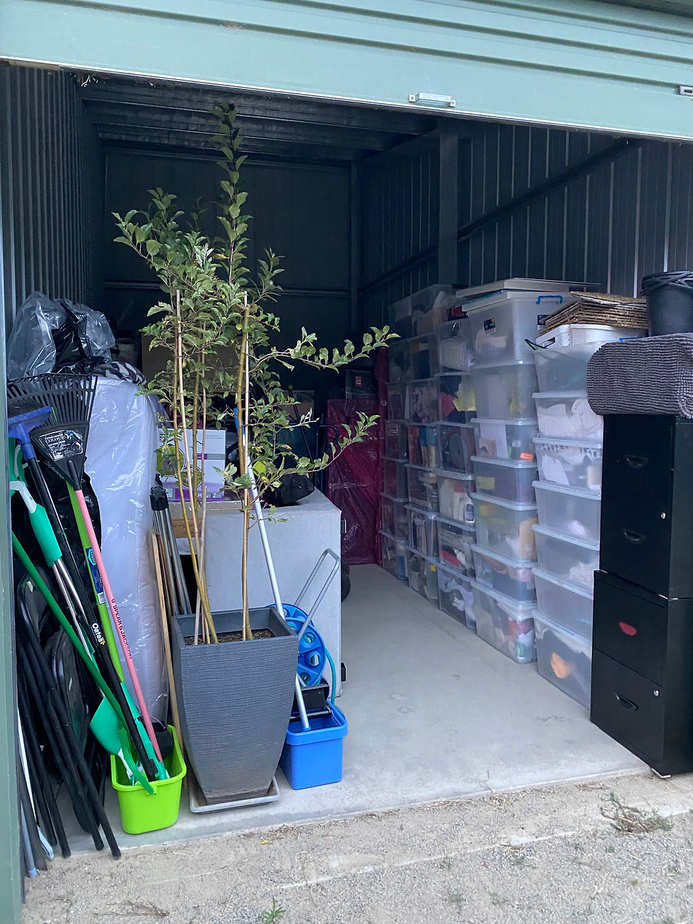 IMG_0715 Ayo Shittu.jpeg