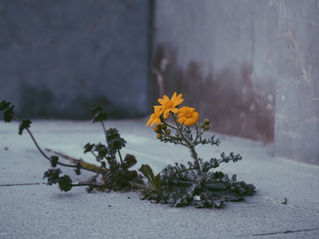 Thriving or Surviving in 2026?