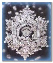 2004105_orig.jpg