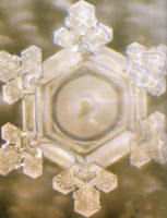 4830465_orig.jpg