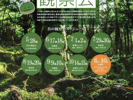 北八ヶ岳苔の森観察会