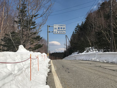 今年も麦草峠が開通しました。