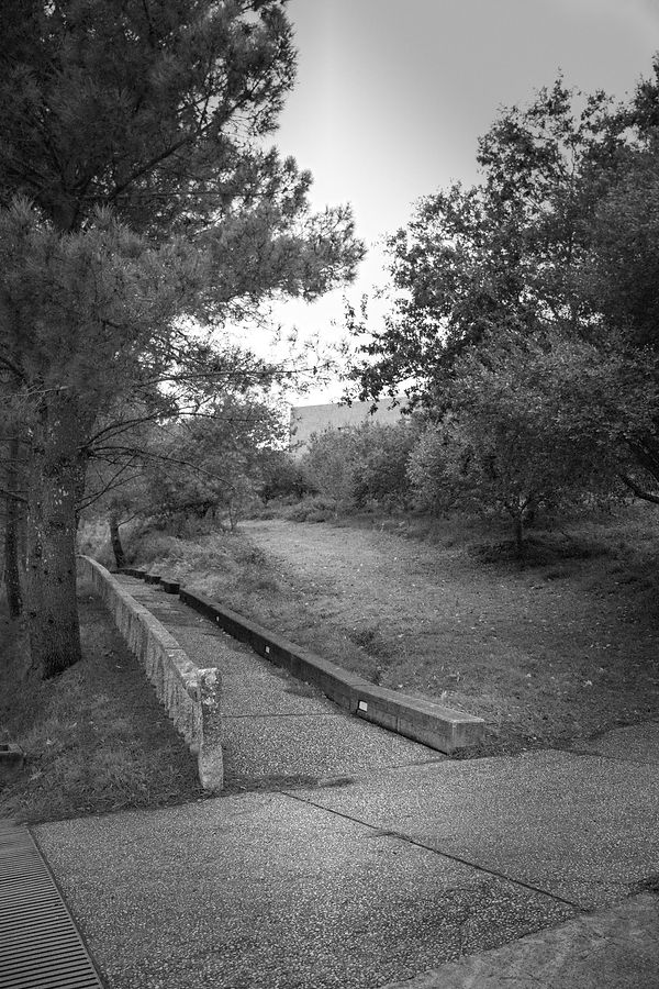 Cuvi 20 Octubre 2020 008.jpg