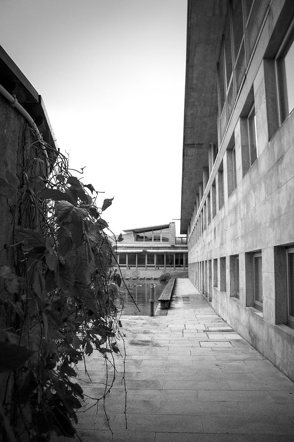 Cuvi 20 Octubre 2020 004.jpg