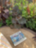 Where the Wild Things Are book